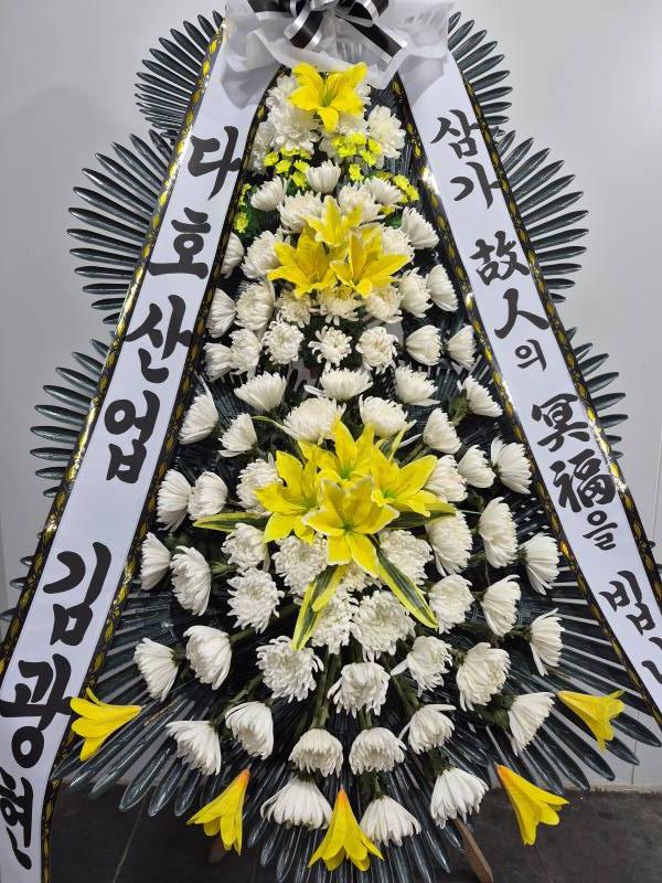 업로드 이미지