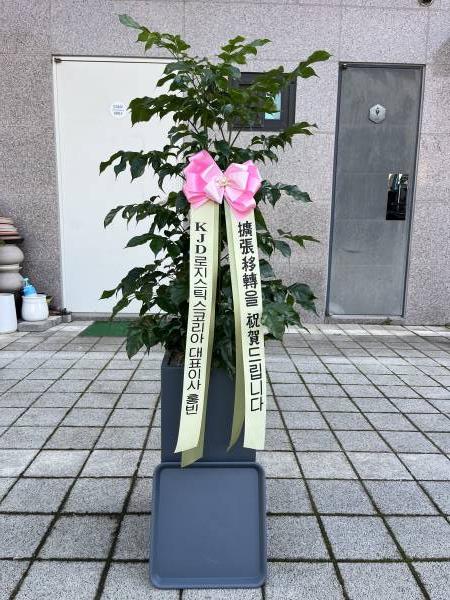 업로드 이미지