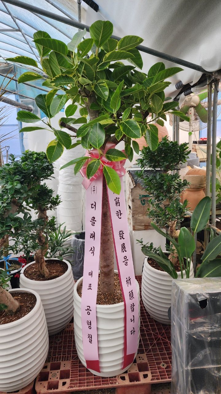 업로드 이미지