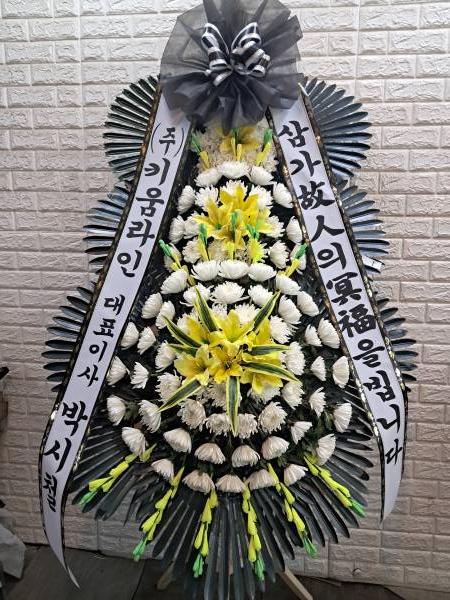 업로드 이미지