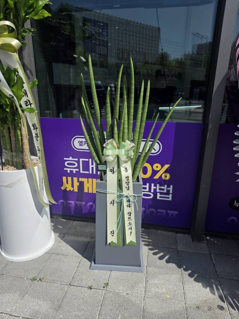 업로드 이미지