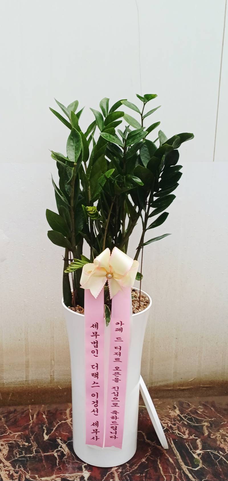 업로드 이미지