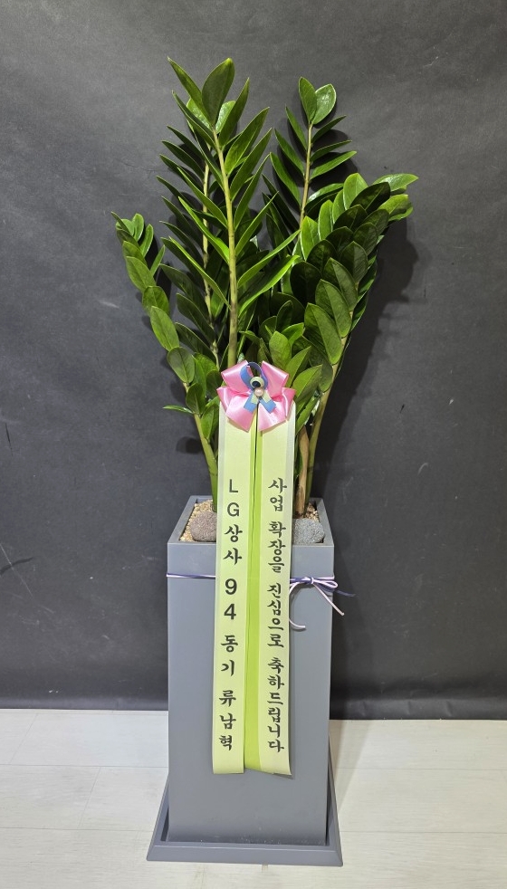 업로드 이미지