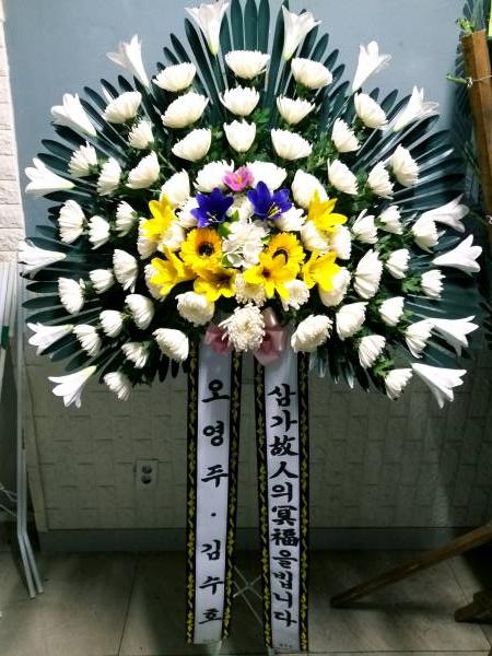 업로드 이미지