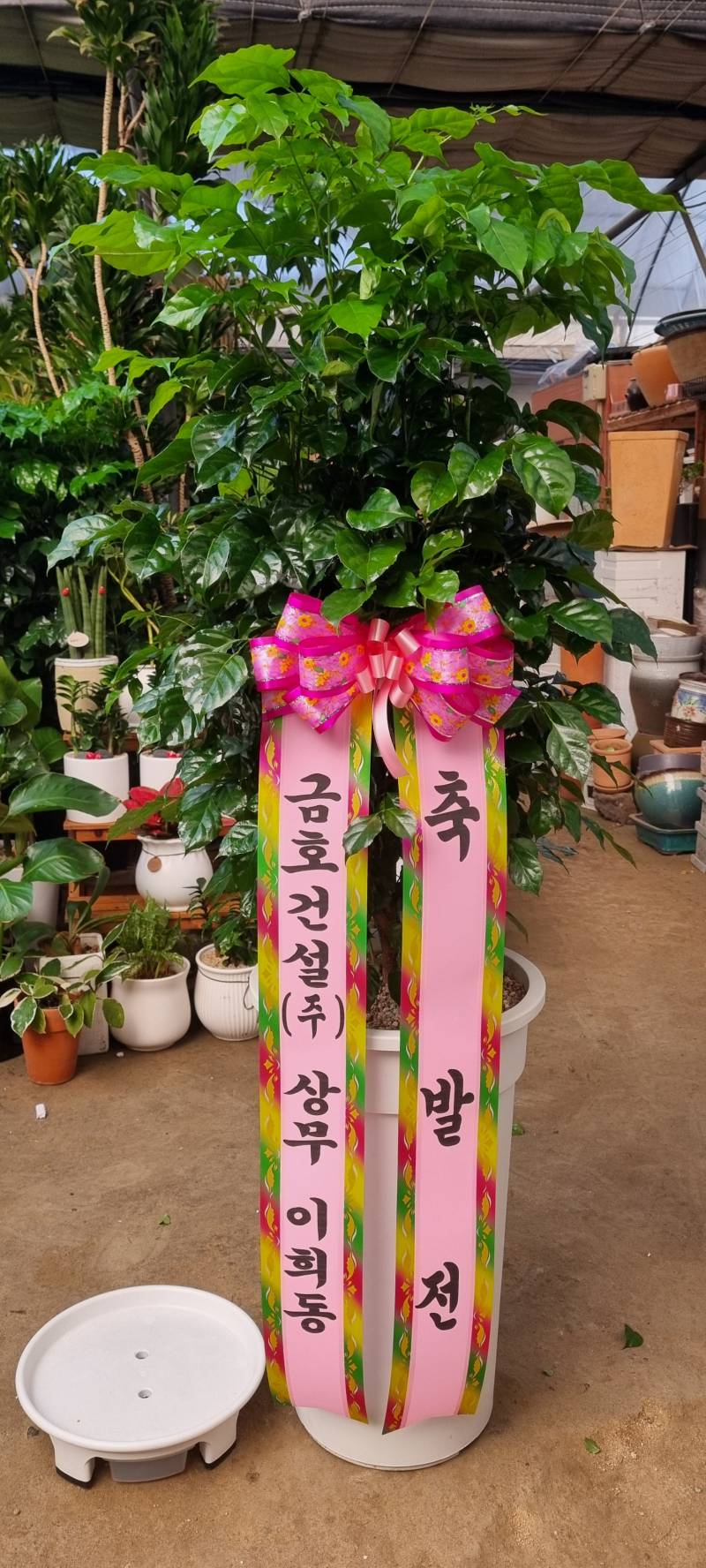 업로드 이미지