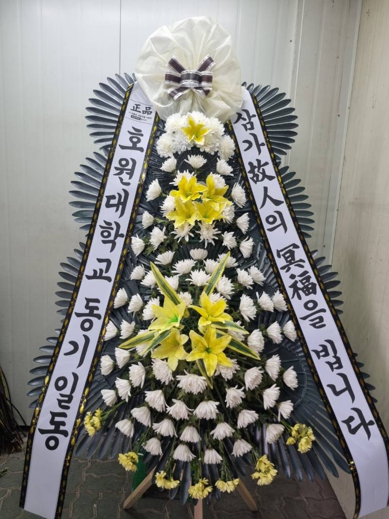 업로드 이미지