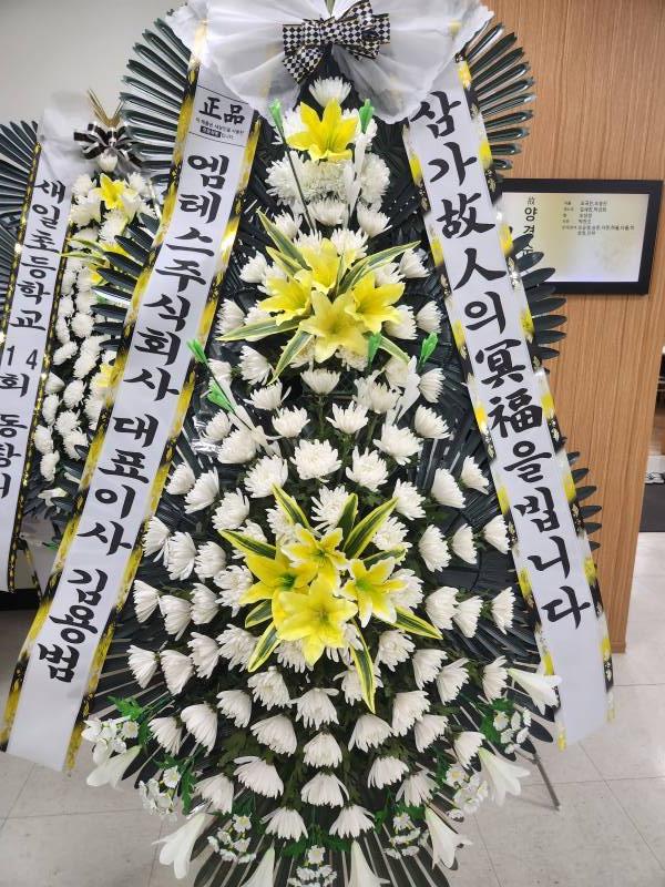 업로드 이미지