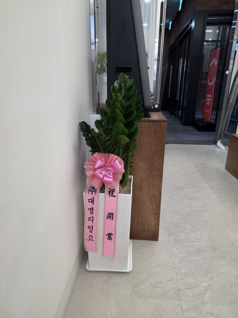 업로드 이미지