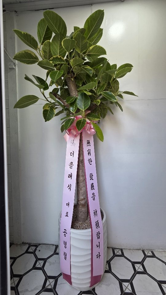 업로드 이미지