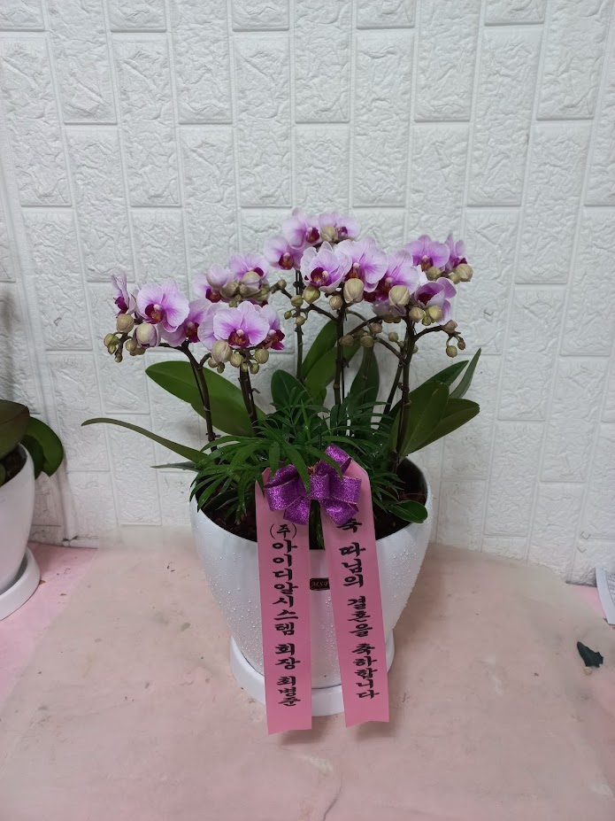 업로드 이미지