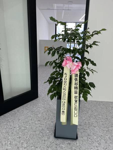 업로드 이미지