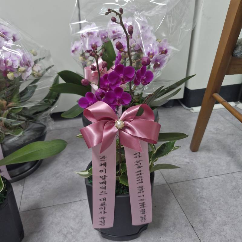업로드 이미지
