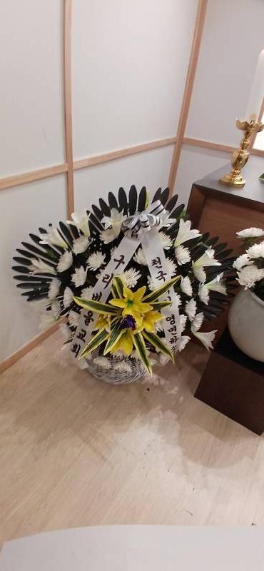 업로드 이미지