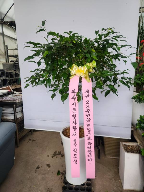업로드 이미지