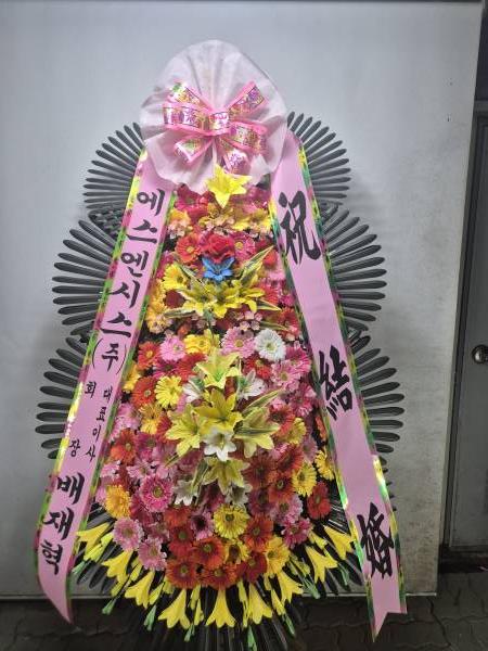 업로드 이미지