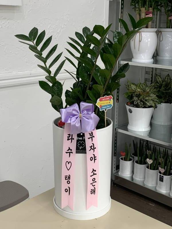 업로드 이미지