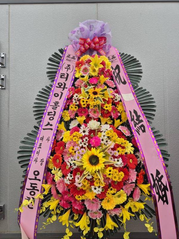 업로드 이미지