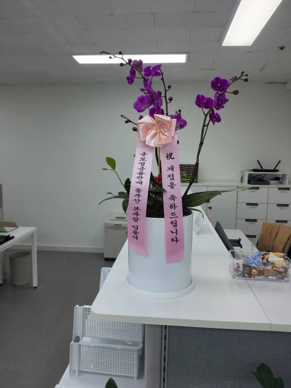 업로드 이미지