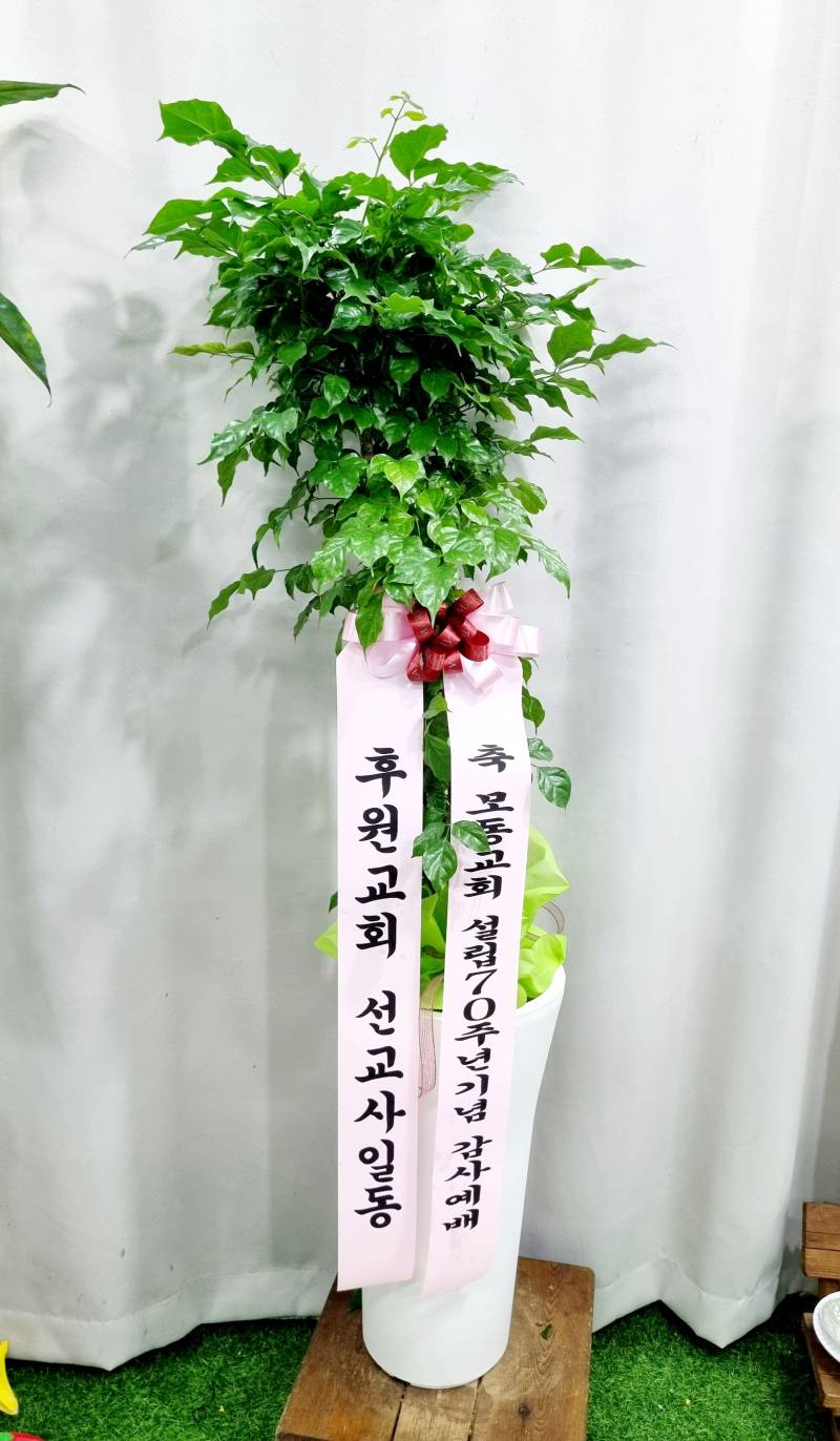 업로드 이미지