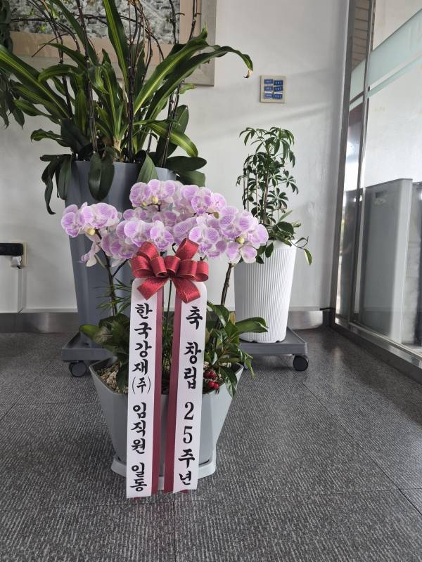 업로드 이미지