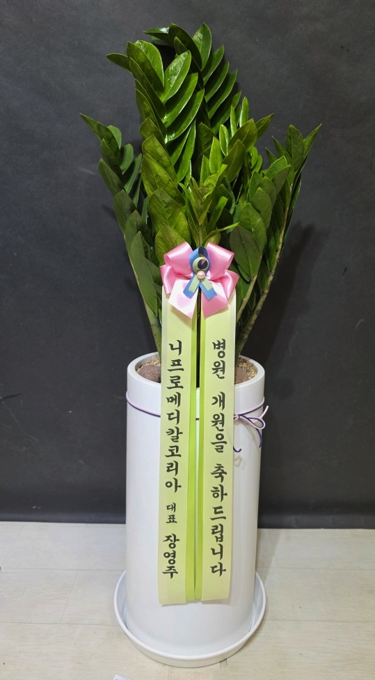 업로드 이미지