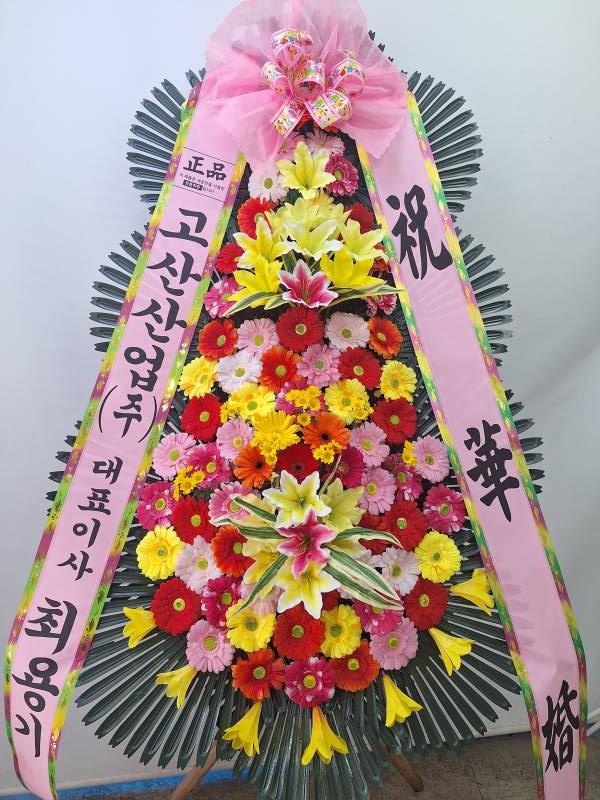 업로드 이미지