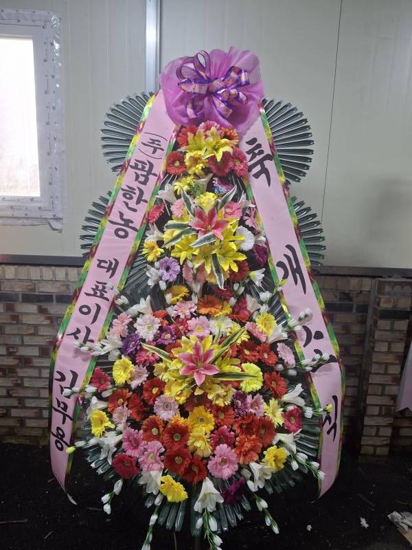 업로드 이미지