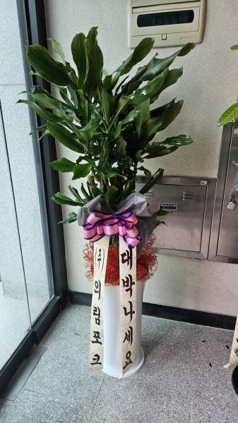업로드 이미지