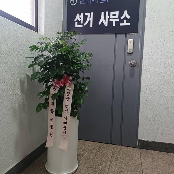 업로드 이미지