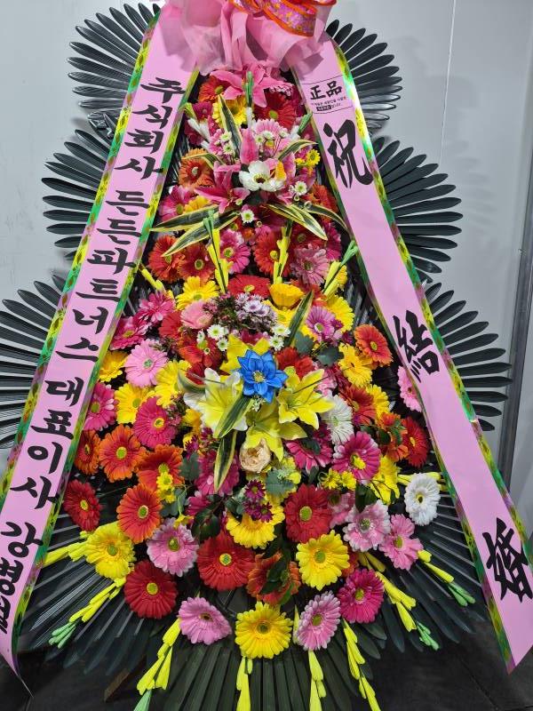 업로드 이미지