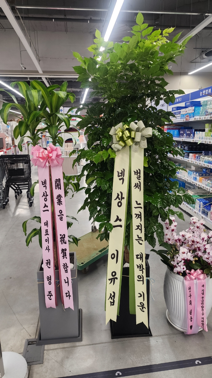업로드 이미지