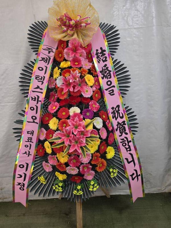 업로드 이미지