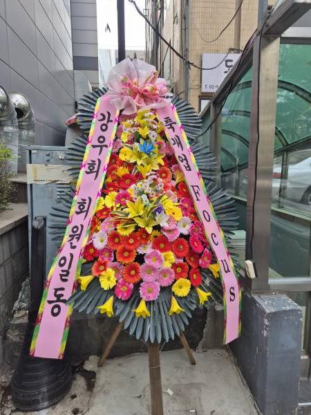 업로드 이미지