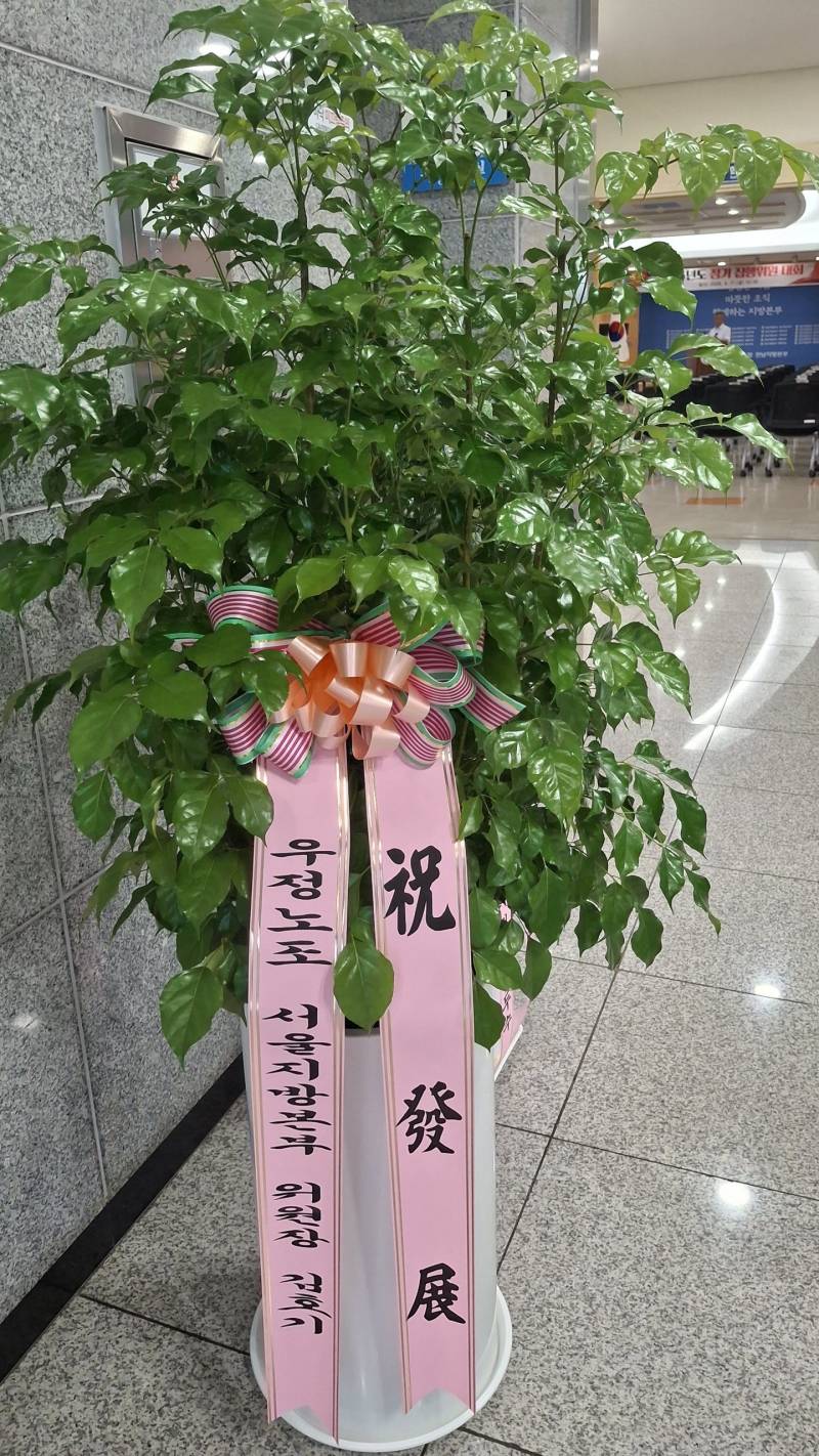 업로드 이미지