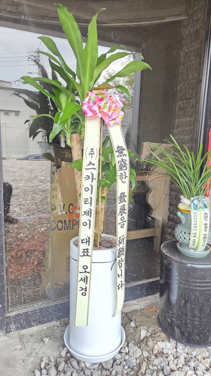 업로드 이미지