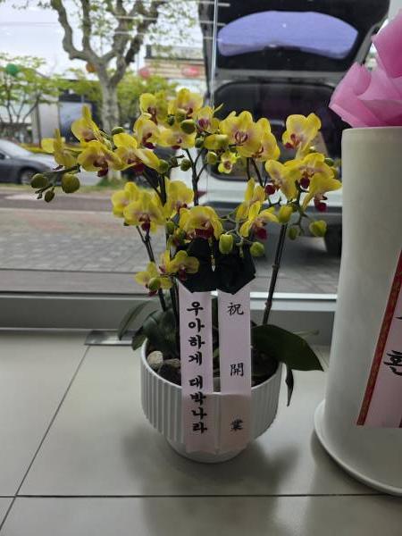 업로드 이미지