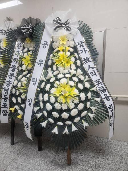 업로드 이미지