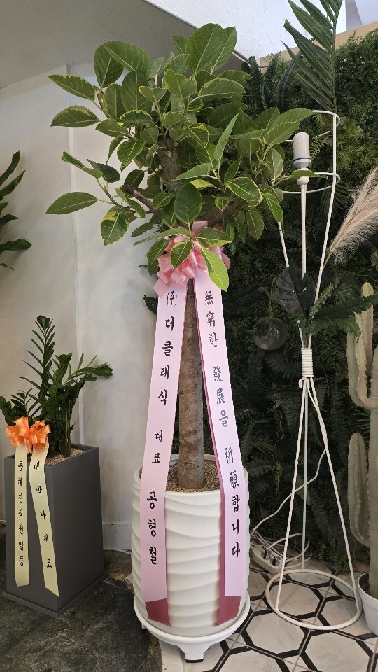 업로드 이미지