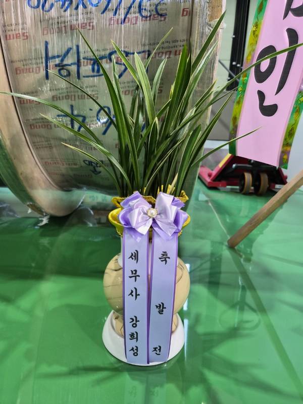 업로드 이미지
