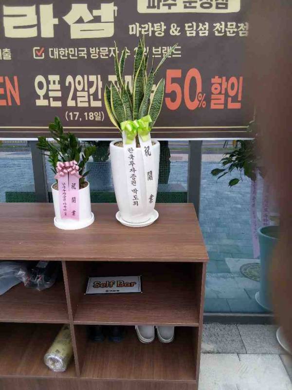 업로드 이미지