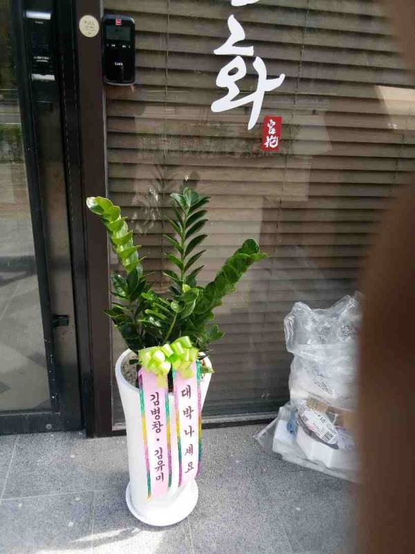 업로드 이미지