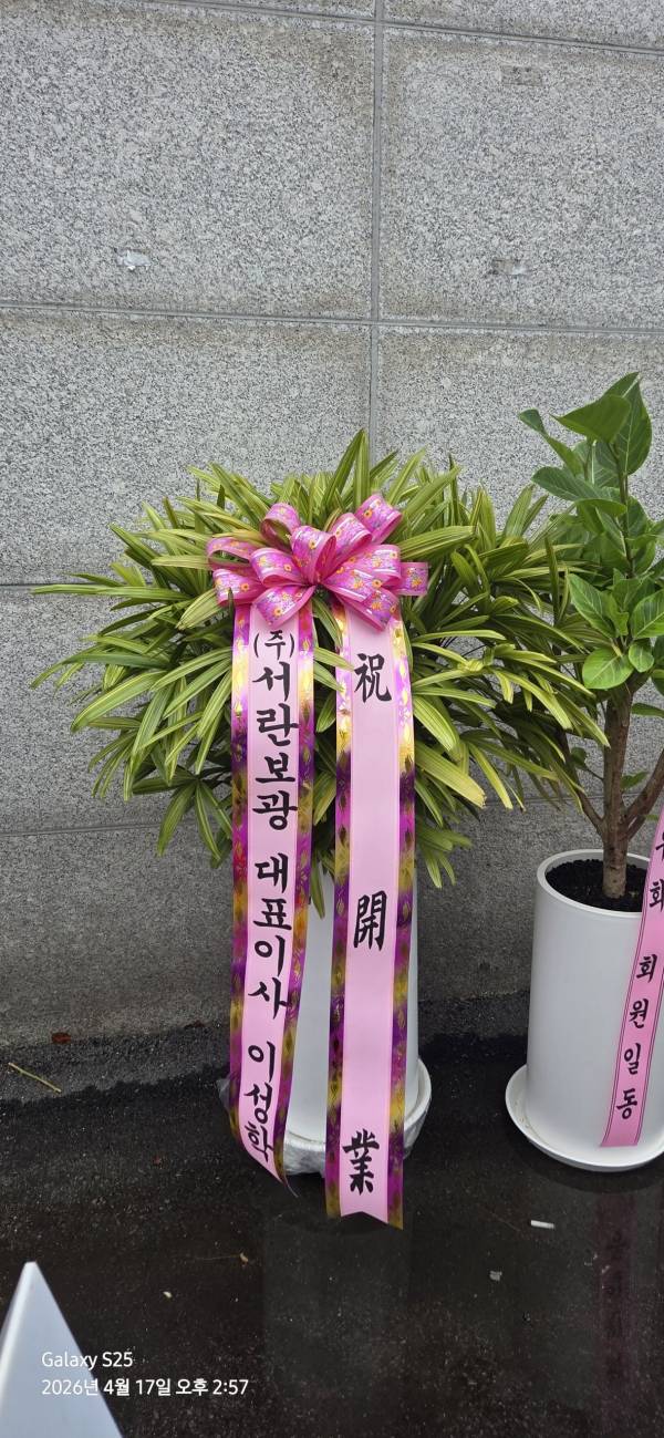 업로드 이미지