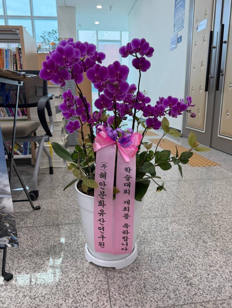 업로드 이미지