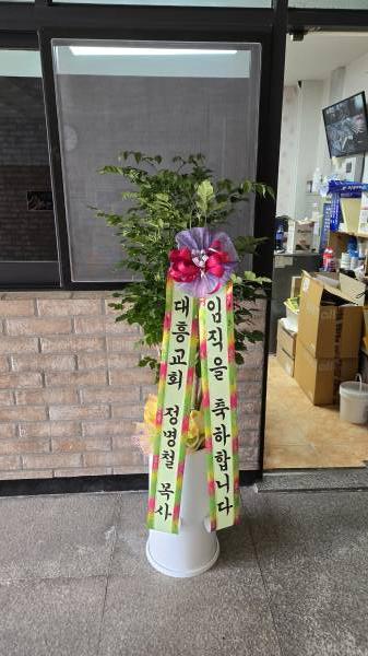 업로드 이미지