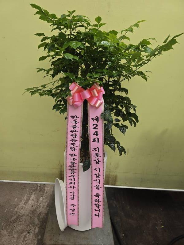 업로드 이미지