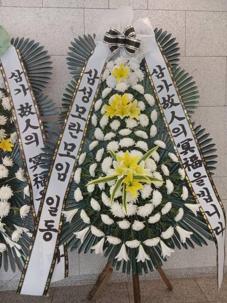 업로드 이미지