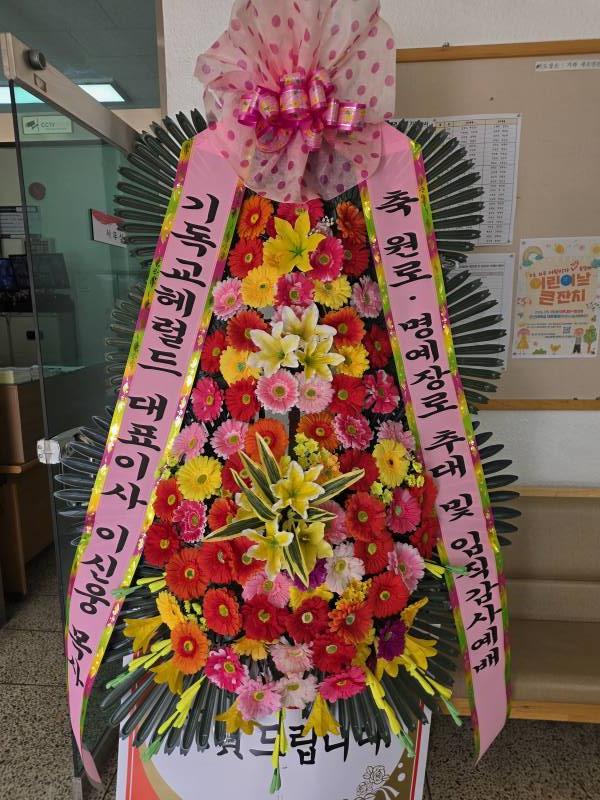 업로드 이미지
