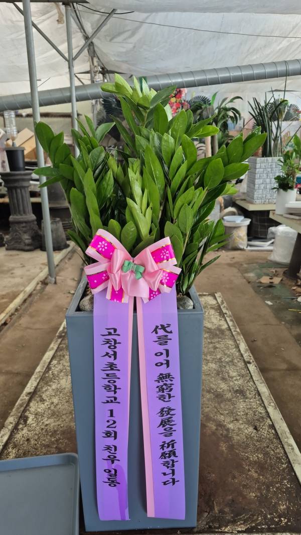 업로드 이미지