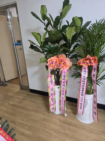 업로드 이미지