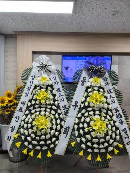 업로드 이미지
